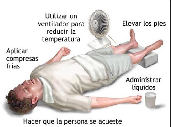 QueHacerAnteUnGolpeDeCalorGrupoSSG